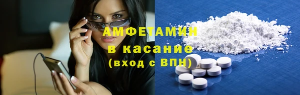 стаф Алзамай