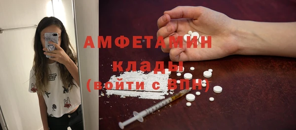 стаф Алзамай