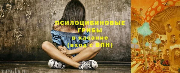 2c-b Алексин