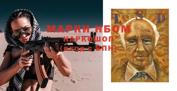 стаф Алзамай