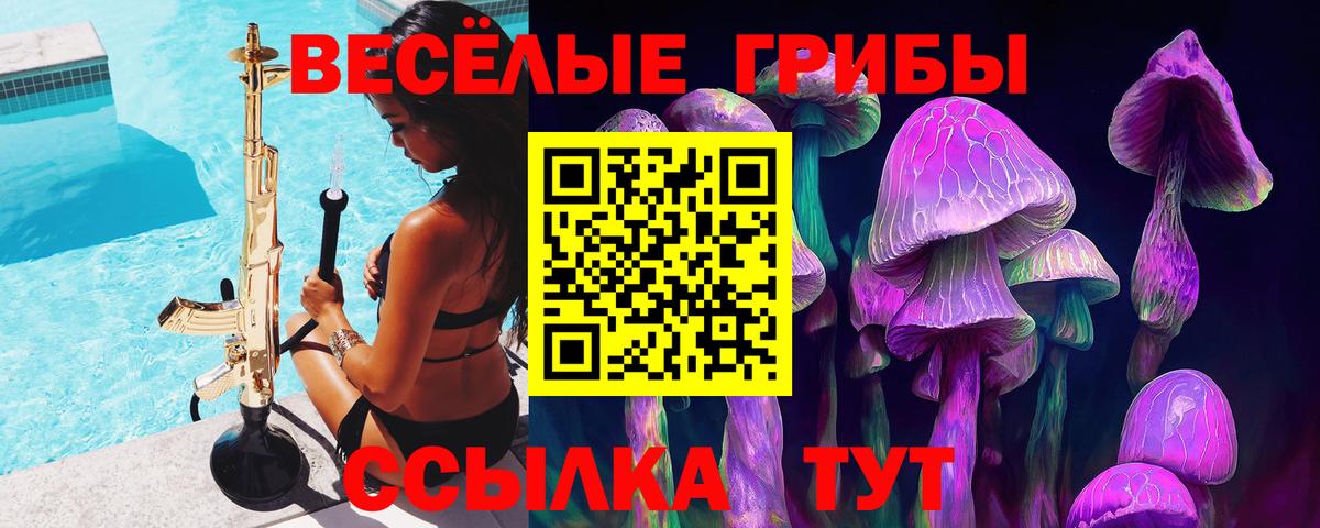 Переславль-Залесский  Галлюциногенные грибы ЛСД  Вход с VPN 